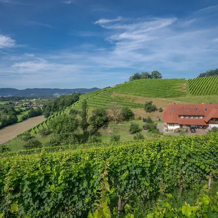 Lejlighed Winzerhof Armbruster *