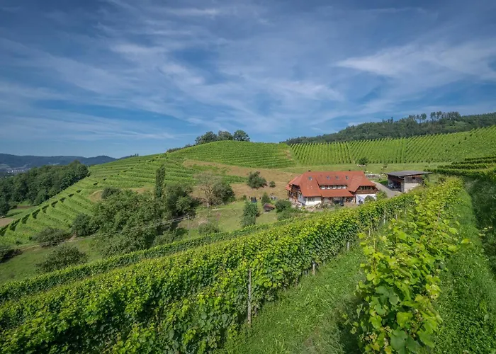 Winzerhof Armbruster * Gengenbach